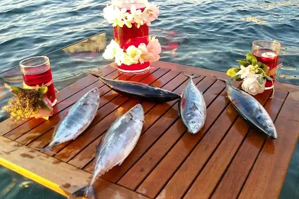 Akıntıburnu Set Üstü Konutları - Resim 9