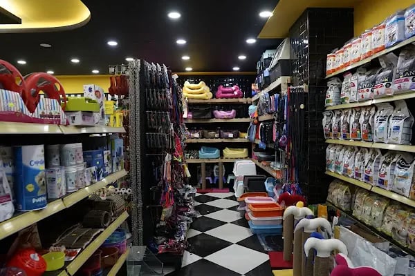 Sakarya Doğa Petshop 5 Serdivan - Resim 19