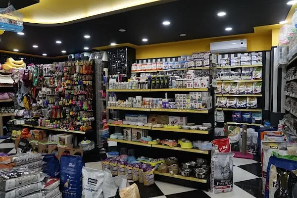 Sakarya Doğa Petshop 5 Serdivan - Resim 16
