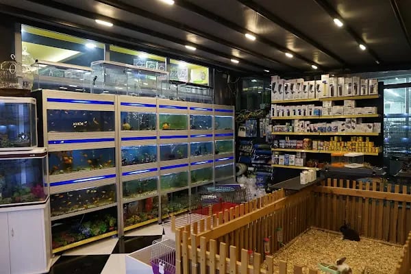 Sakarya Doğa Petshop 5 Serdivan - Resim 9