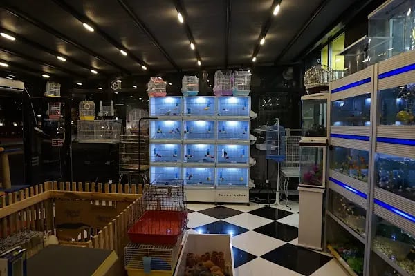 Sakarya Doğa Petshop 5 Serdivan - Resim 6