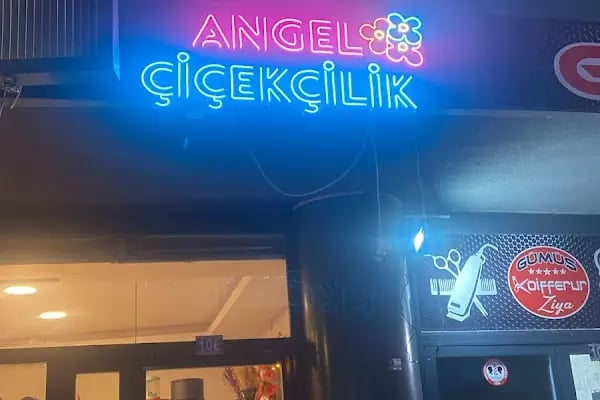 ANGEL ÇİÇEKÇİLİK YAZIR - Resim 11