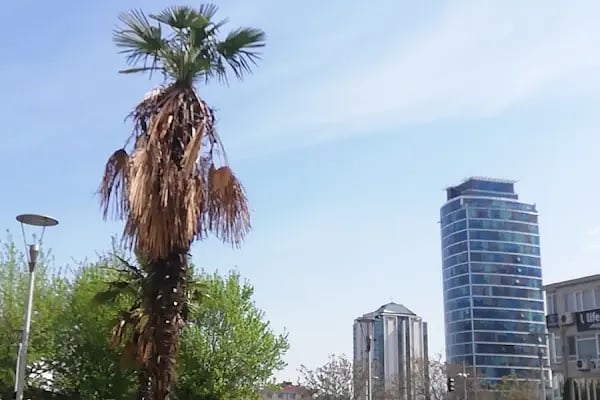 Adliye Sarayı - Resim 14