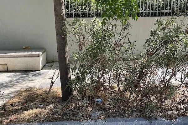 Uğur Okulları İzmir Bayraklı Kampüsü - Resim 8