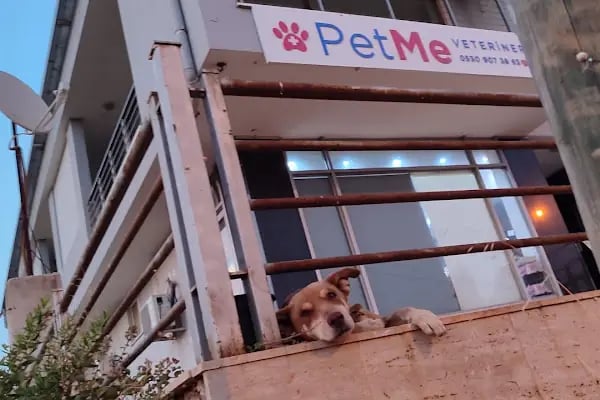 PetMe Veteriner Kliniği - Resim 12