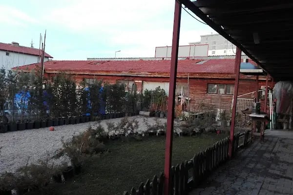 Altay Çiçekçilik - Resim 8