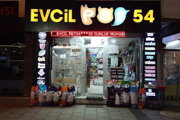 Evcil Pet 54 - Resim 4