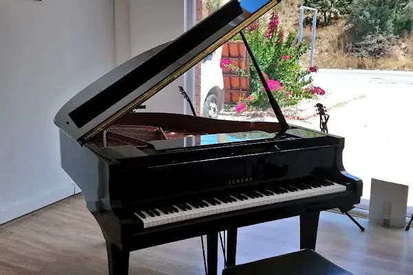 Can Müzik Bodrum - Resim 18