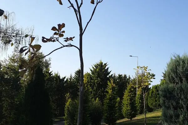 Saklı Bahçe Gece Dönercisi - Resim 17