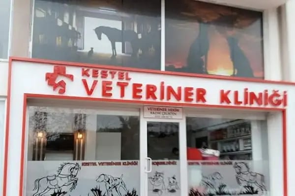 Kestel Veteriner Kliniği - Resim 2
