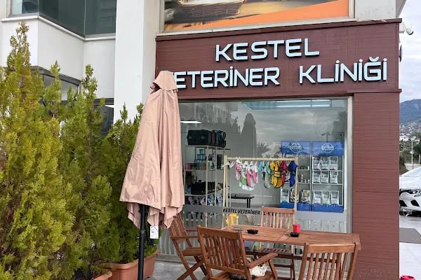 Kestel Veteriner Kliniği - Resim 6