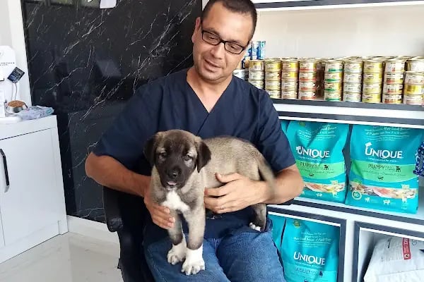 Kestel Veteriner Kliniği - Resim 15