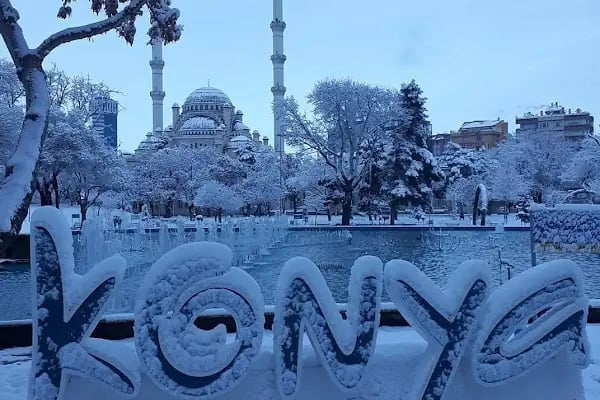 Atlantik Akvaryum Pet Ürünleri ve Kuş Malzemeleri - Resim 2
