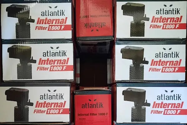 Atlantik Akvaryum Pet Ürünleri ve Kuş Malzemeleri - Resim 3