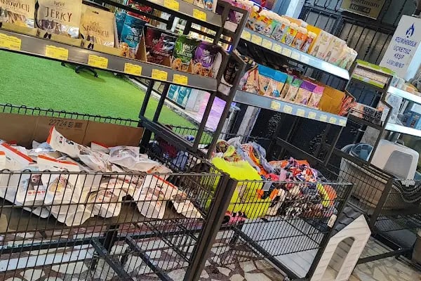 Lux Petshop - Resim 2