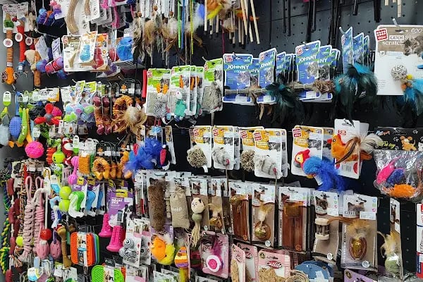 Lux Petshop - Resim 13