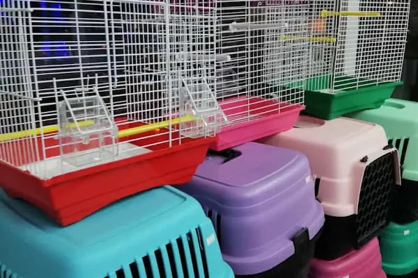 Paşam Petshop - Resim 8