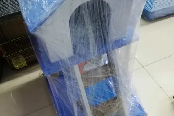 Paşam Petshop - Resim 13