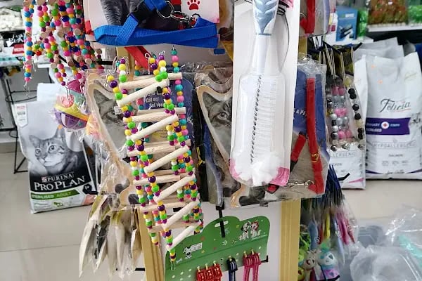 Paşam Petshop - Resim 7