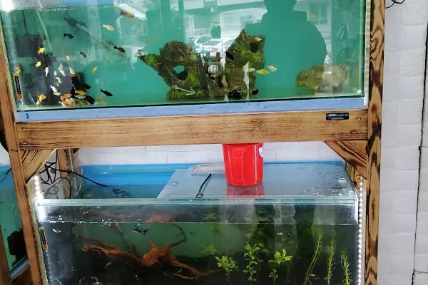 Paşam Petshop - Resim 5