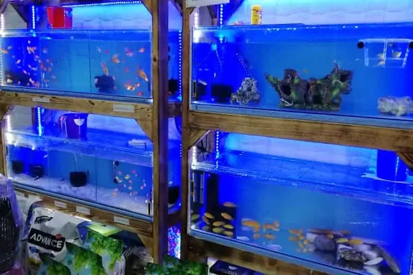 Paşam Petshop - Resim 15
