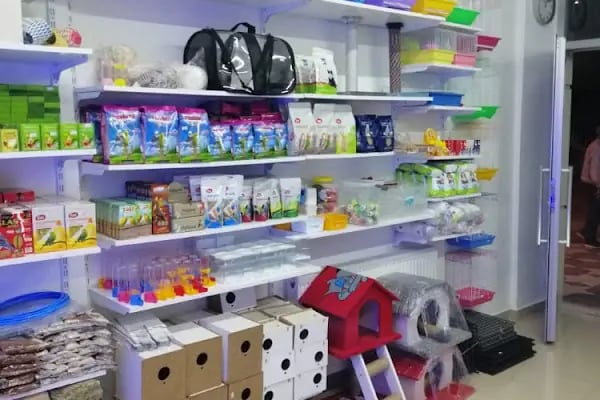 Paşam Petshop - Resim 9