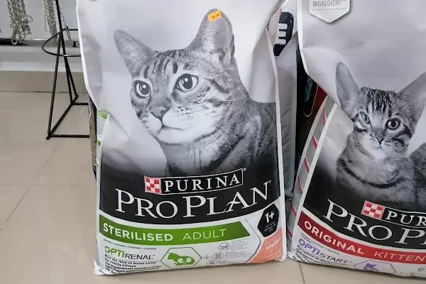 Paşam Petshop - Resim 12