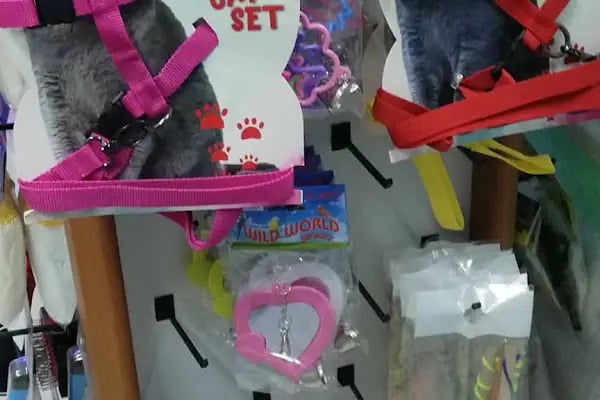 Paşam Petshop - Resim 14