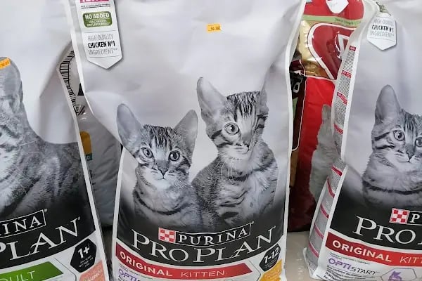 Paşam Petshop - Resim 18
