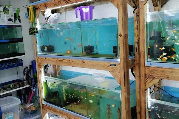 Paşam Petshop - Resim 2