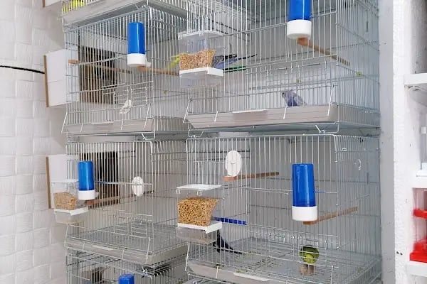 Paşam Petshop - Resim 4