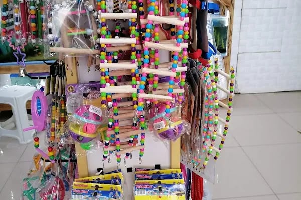 Paşam Petshop - Resim 11
