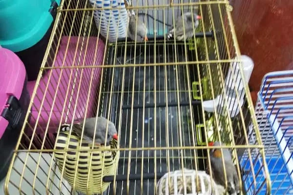 Paşam Petshop - Resim 3