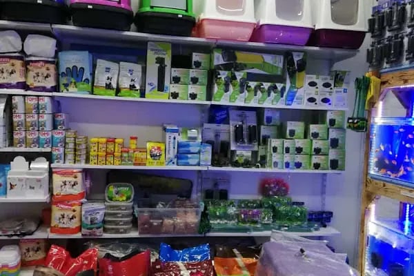 Paşam Petshop - Resim 17