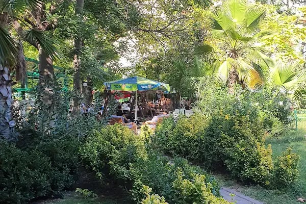 Sakoya Çay Bahçesi - Resim 12