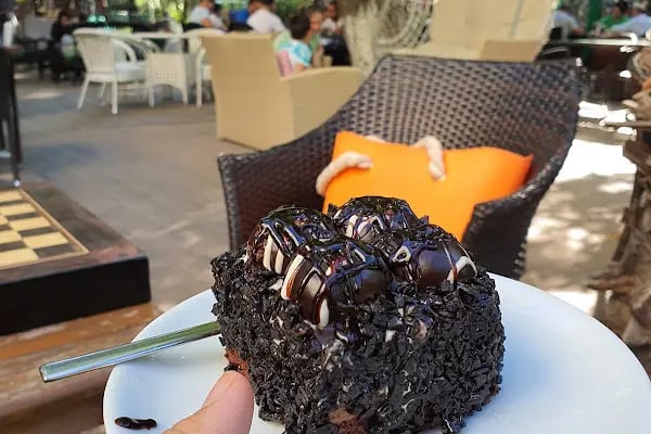 Sakoya Çay Bahçesi - Resim 7