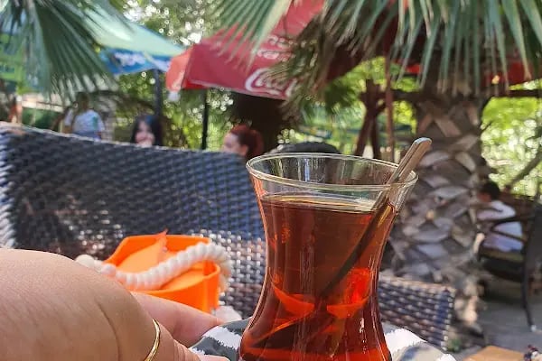 Sakoya Çay Bahçesi - Resim 10