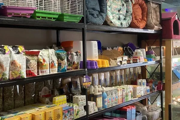 ALFA PETSHOP - Resim 12