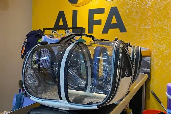 ALFA PETSHOP - Resim 7