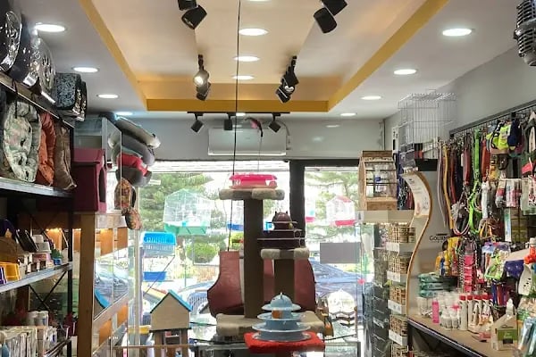 ALFA PETSHOP - Resim 4