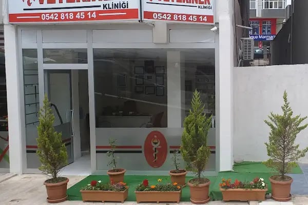 Çerkezköy Sancak Veteriner Kliniği - Resim 17