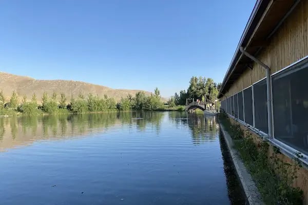 Gölpınar Alabalık Dinlenme Tesisleri - Resim 8