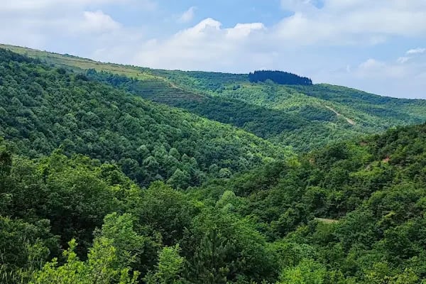 Kocaeli Kent Ormanı - Resim 6