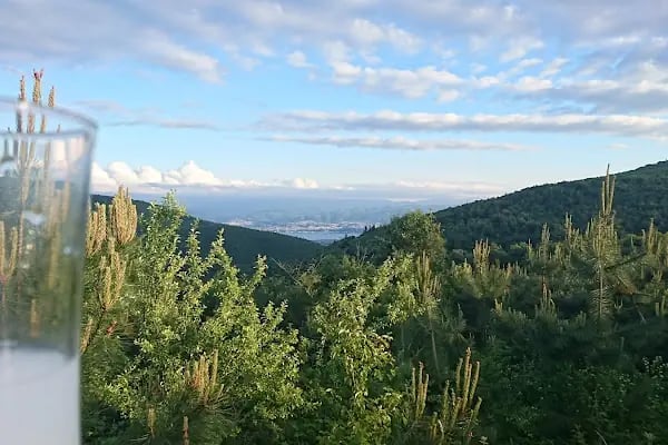 Kocaeli Kent Ormanı - Resim 16