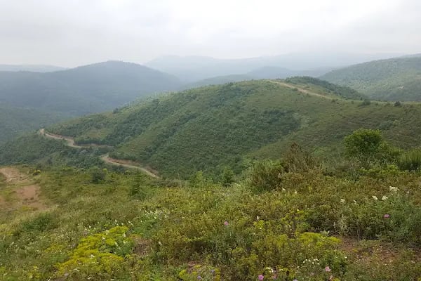 Kocaeli Kent Ormanı - Resim 2