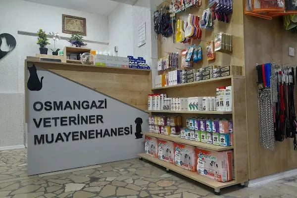 Osmangazi Veteriner Kliniği - Resim 4