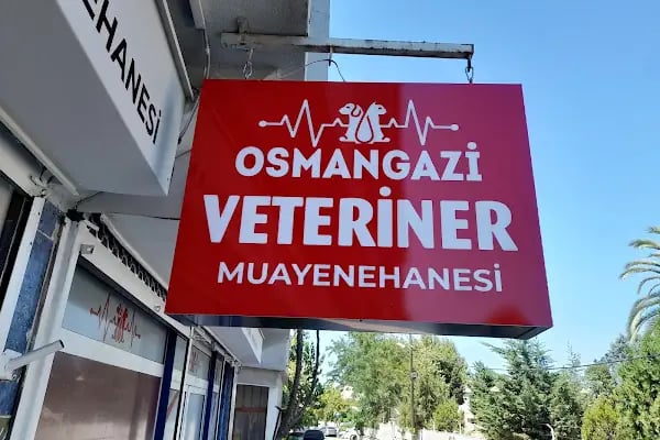 Osmangazi Veteriner Kliniği - Resim 1