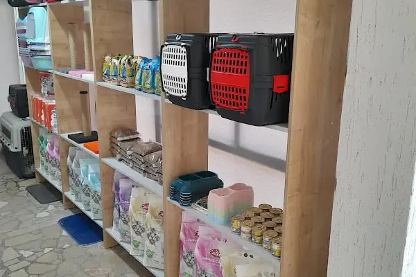 Osmangazi Veteriner Kliniği - Resim 6