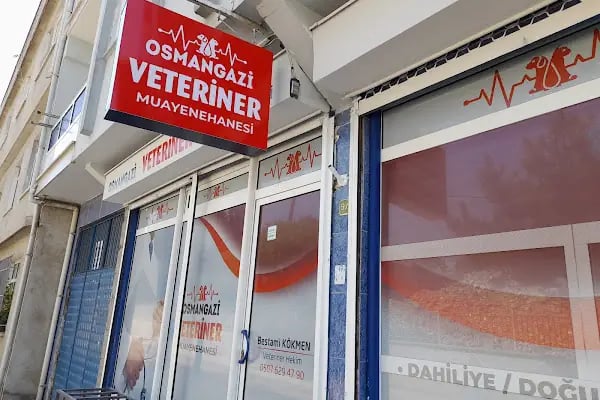 Osmangazi Veteriner Kliniği - Resim 18