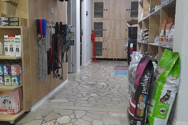 Osmangazi Veteriner Kliniği - Resim 20